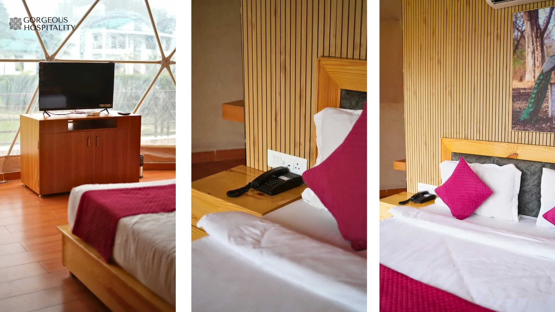 Dome Glamping